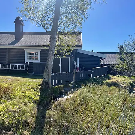 Log With Mountain View Beitostolen