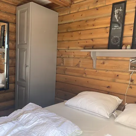 Log With Mountain View Semesterbostad