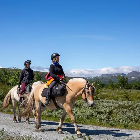Holiday home Log With Mountain View Beitostolen