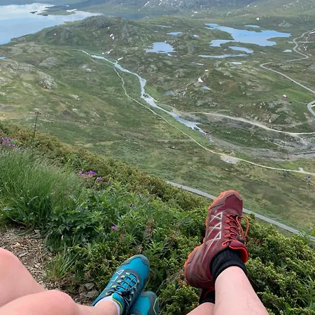 Log With Mountain View Semesterbostad Beitostolen