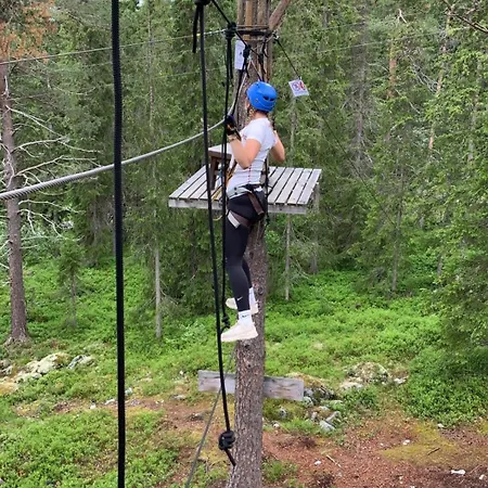 Log With Mountain View Beitostolen