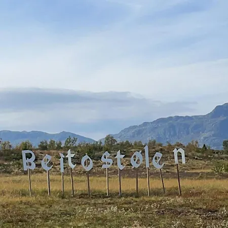 Log With Mountain View * Beitostolen