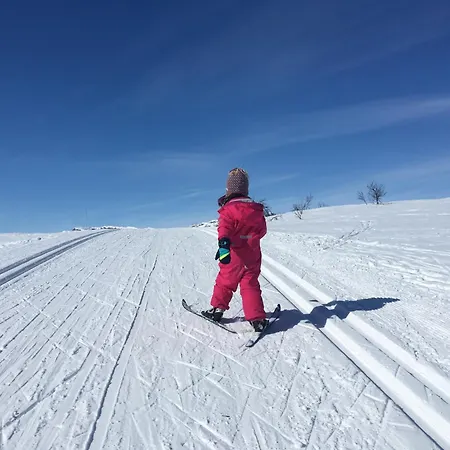 Log With Mountain View Beitostolen