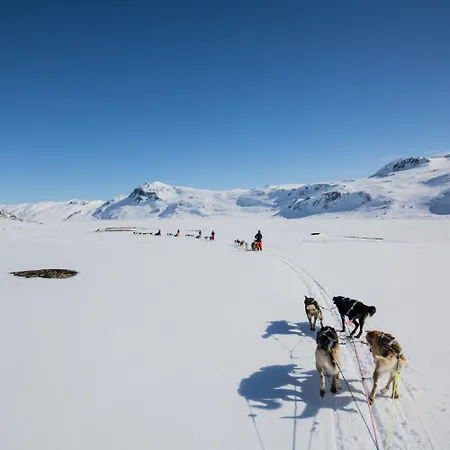 Log With Mountain View