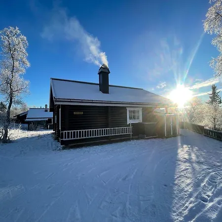 Log With Mountain View *