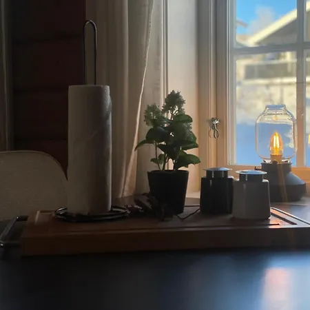 Log With Mountain View Semesterbostad