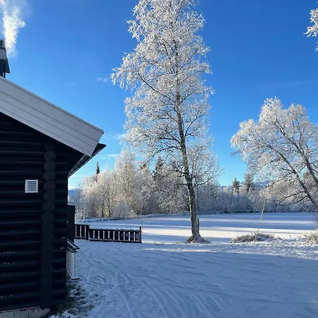 Log With Mountain View *