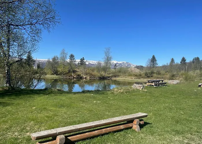 Log With Mountain View *