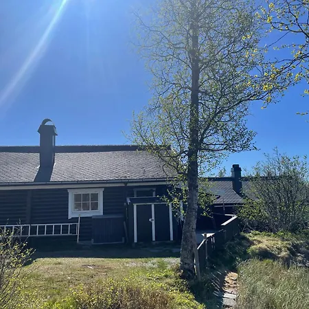 Log With Mountain View