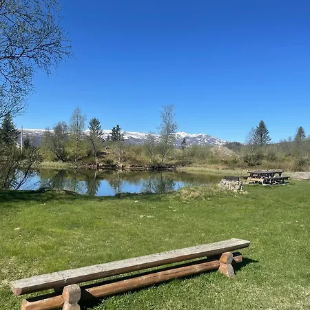 Log With Mountain View *