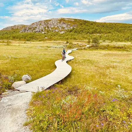 Log With Mountain View *